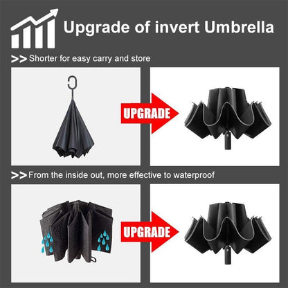 Rynx | Stylish 10-rib Compact Automatic Umbrella - Resilient and Trendy