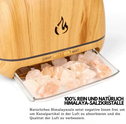 Rynx | Himalaya Salt Aroma Diffuser