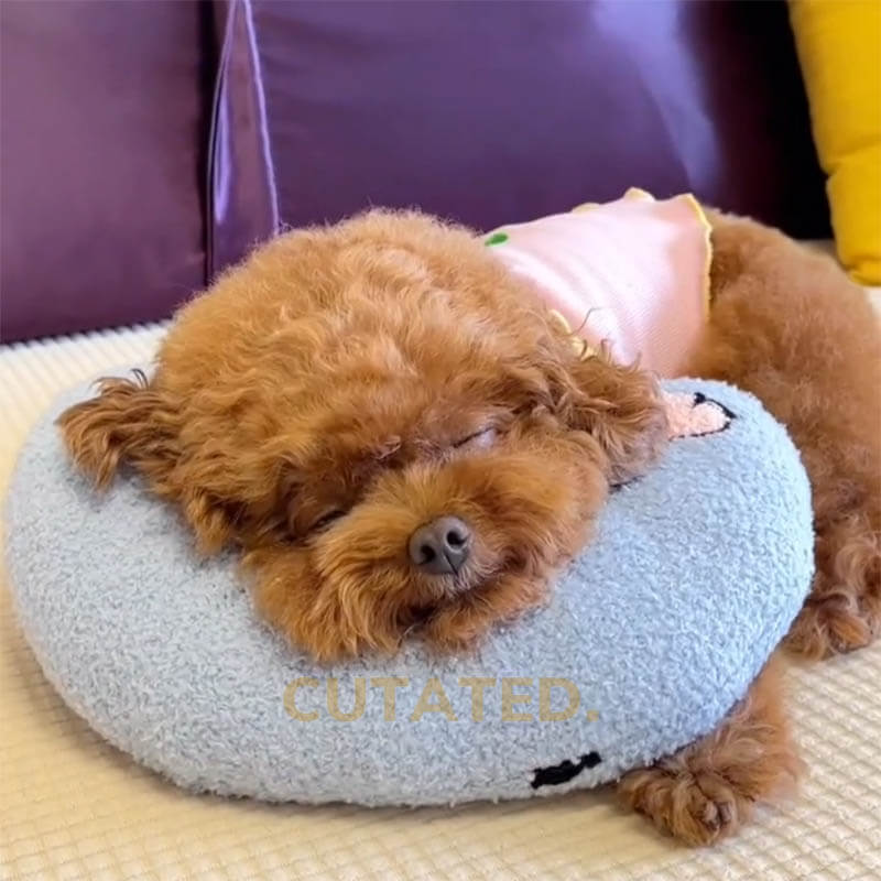 Rynx | Relaxation Pillow Standard Blue