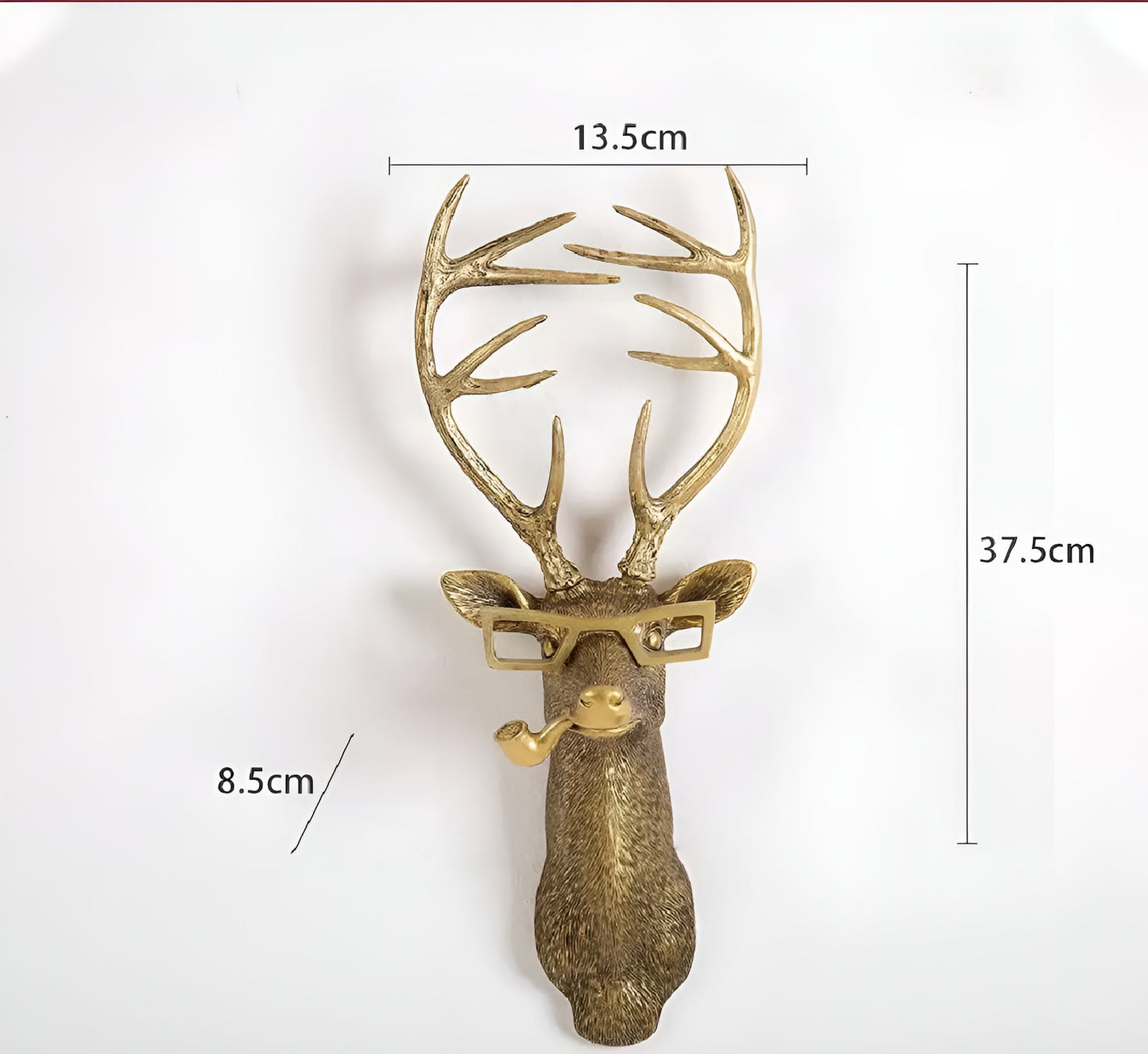 Rynx | Hookify Head Wall Hook | Multifunctional Wall Storage & Decoration | Animal Head Design