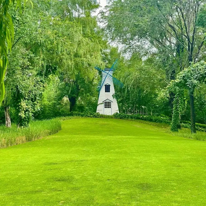 Rynx | Evergreen Grass Seeds – Lusher, greener lawn made easy!