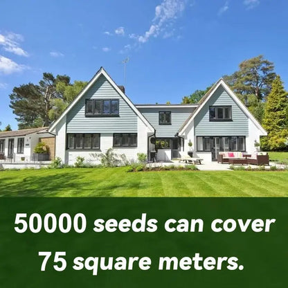 Rynx | Evergreen Grass Seeds – Lusher, greener lawn made easy!