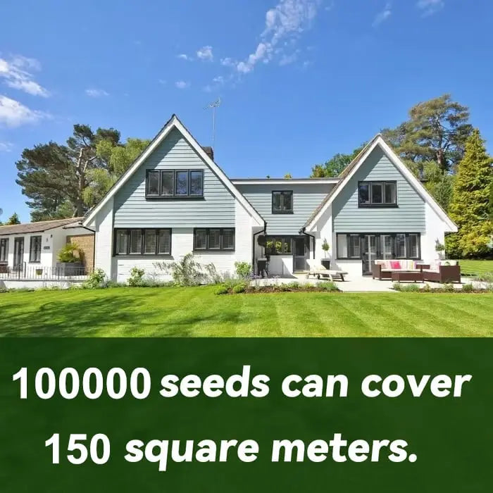 Rynx | Evergreen Grass Seeds – Lusher, greener lawn made easy!