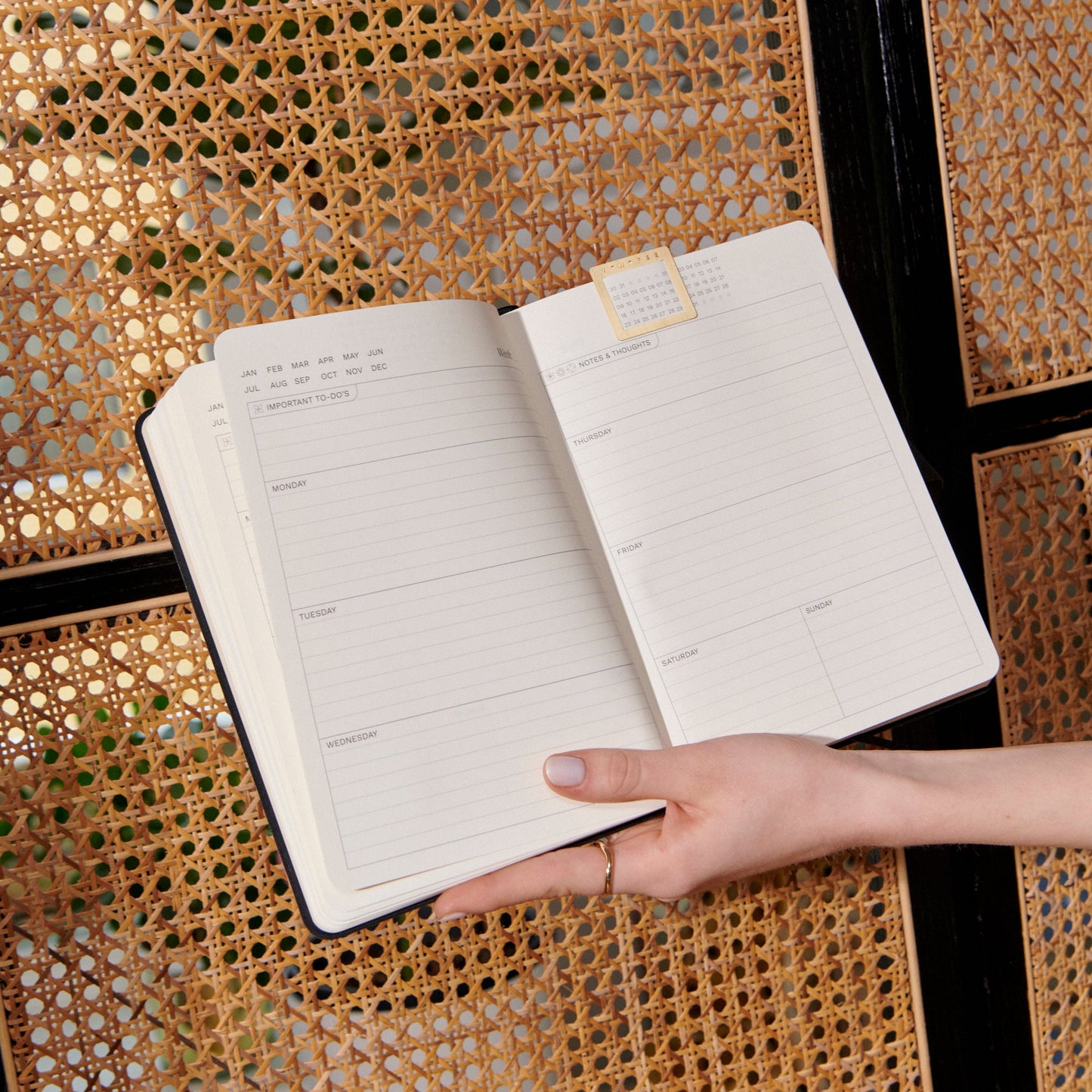 Rynx | Please - Infinite Planner