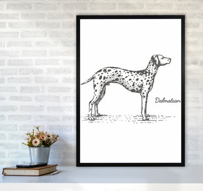 Rynx | Dalmatian Art Print by Jason Stanley