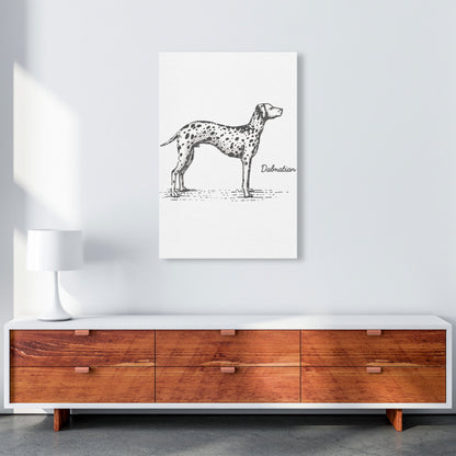 Rynx | Dalmatian Art Print by Jason Stanley