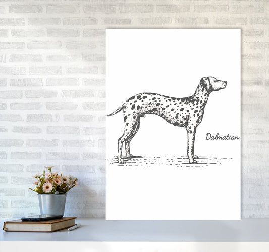 Rynx | Dalmatian Art Print by Jason Stanley