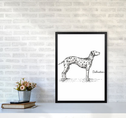 Rynx | Dalmatian Art Print by Jason Stanley