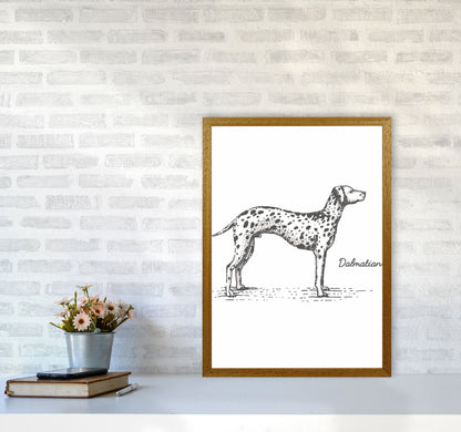 Rynx | Dalmatian Art Print by Jason Stanley