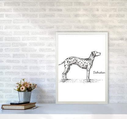 Rynx | Dalmatian Art Print by Jason Stanley