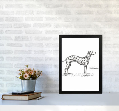 Rynx | Dalmatian Art Print by Jason Stanley