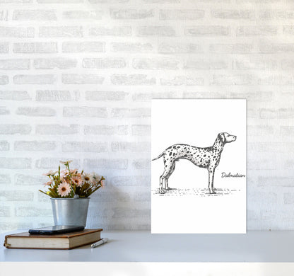 Rynx | Dalmatian Art Print by Jason Stanley