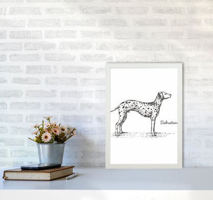 Rynx | Dalmatian Art Print by Jason Stanley