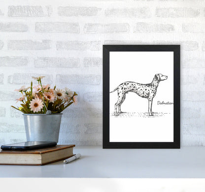 Rynx | Dalmatian Art Print by Jason Stanley