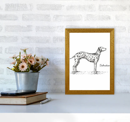 Rynx | Dalmatian Art Print by Jason Stanley