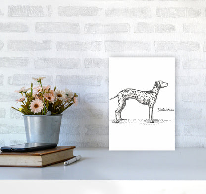 Rynx | Dalmatian Art Print by Jason Stanley