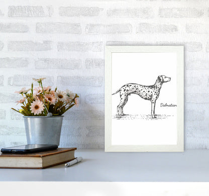 Rynx | Dalmatian Art Print by Jason Stanley