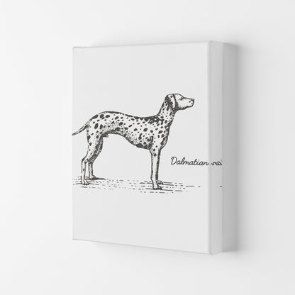Rynx | Dalmatian Art Print by Jason Stanley