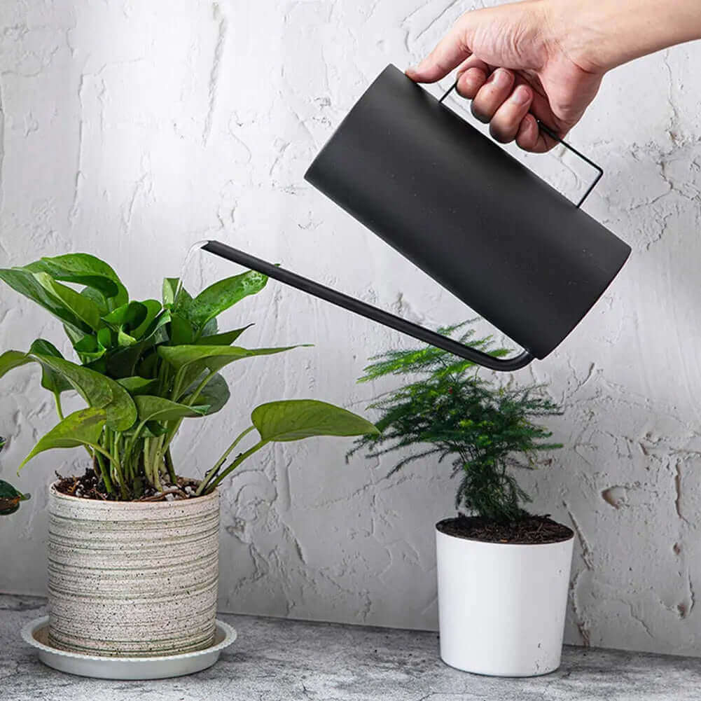 Rynx | Japanese 1.5L Bonsai Watering Can
