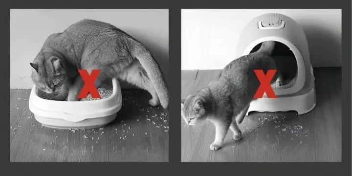 Rynx | Cat litter mat – Keep your floors clean and litter-free!