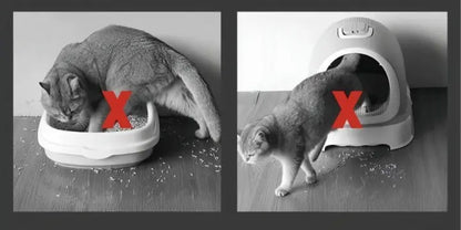 Rynx | Cat litter mat – Keep your floors clean and litter-free!