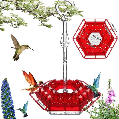 Rynx | Kolibri Feeder to Hang – For a Lively Garden Full of Color and Life