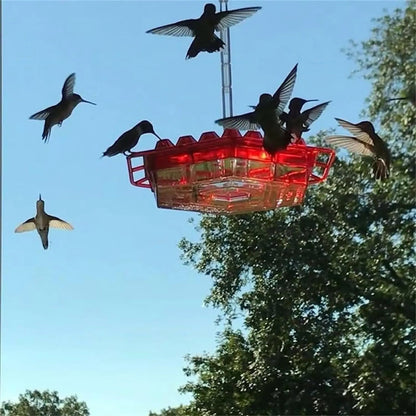Rynx | Kolibri Feeder to Hang – For a Lively Garden Full of Color and Life