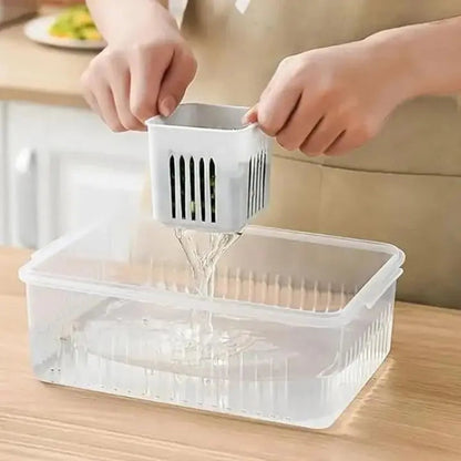 Rynx | Refrigerator Storage Box – 4-in-1 Organizer for Food