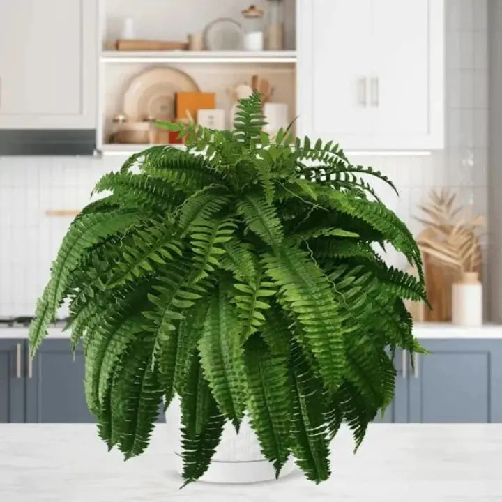 Rynx | Artificial Boston Fern Bundle - UV resistant & easy to care for (18 stems)