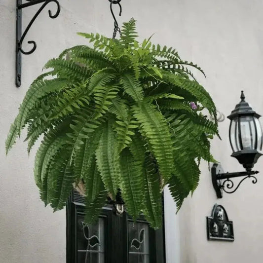 Rynx | Artificial Boston Fern Bundle - UV resistant & easy to care for (18 stems)