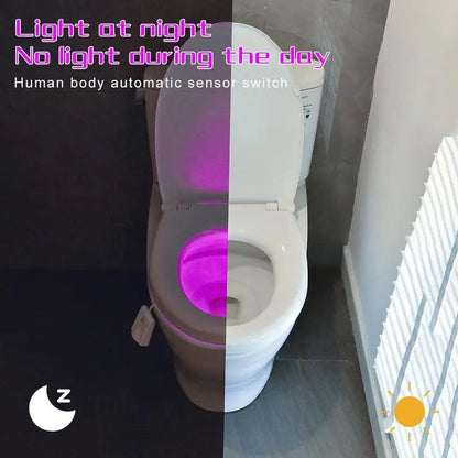 Rynx | LED Toilet Light with Motion Sensor – Practical Gift