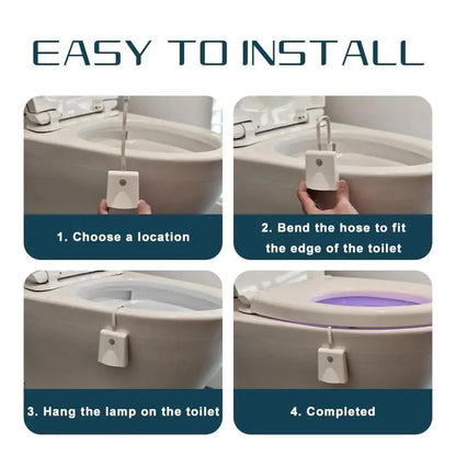 Rynx | LED Toilet Light with Motion Sensor – Practical Gift