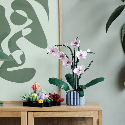 Rynx | Botanical Collection Decor
