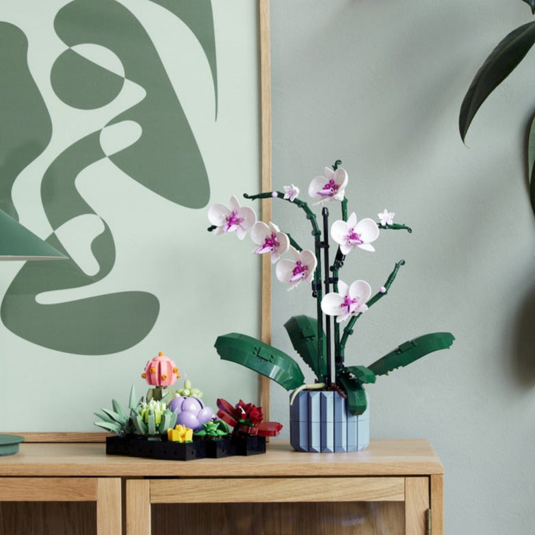 Rynx | Botanical Collection Decor