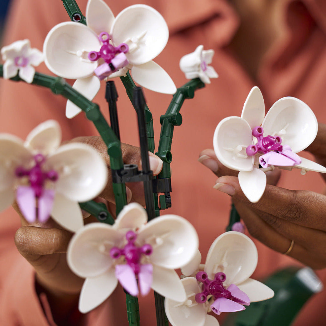 Rynx | Botanical Collection Decor