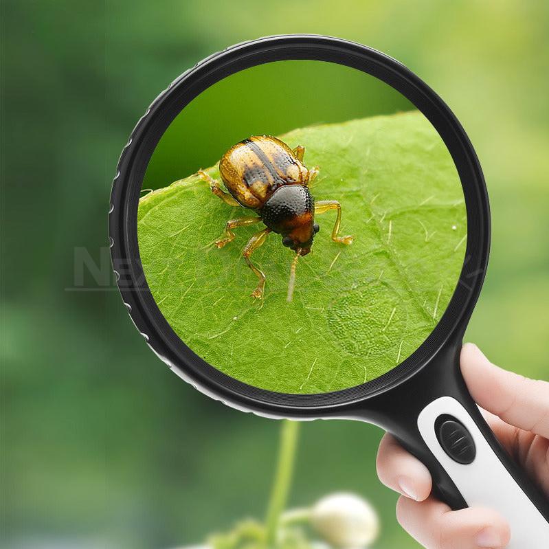 Rynx | Large Magnifying Glass with Light