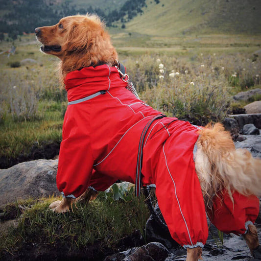 RYNX | Dog Outdoor Jacket Waterproof Adjustable Dog Rain Coat