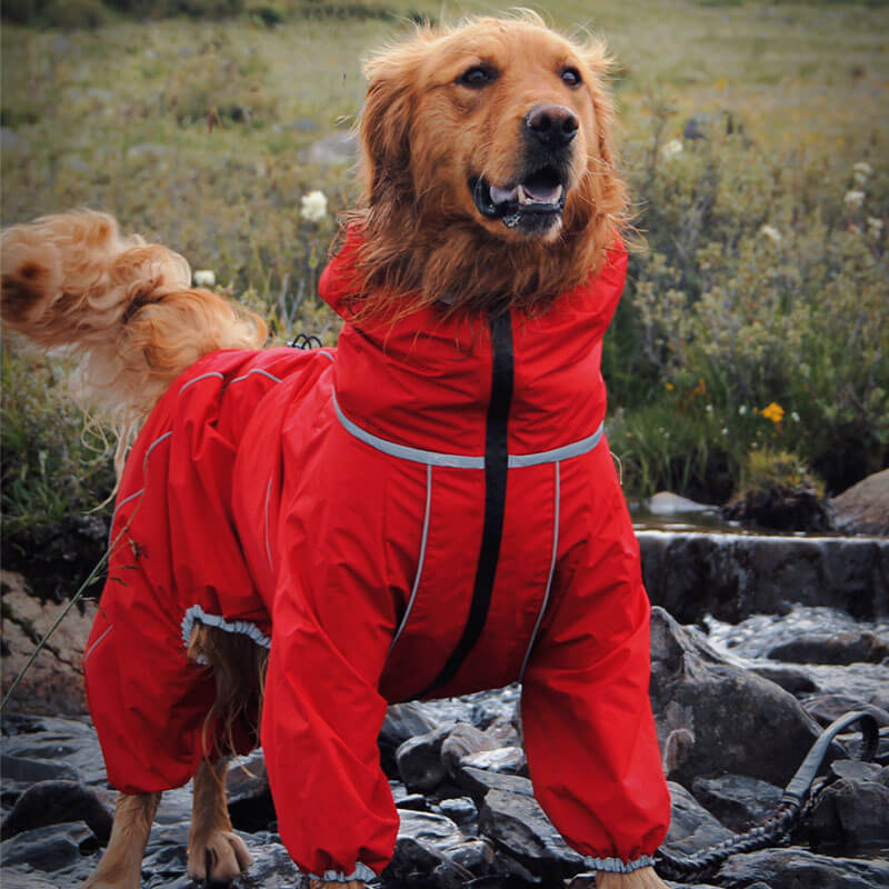 RYNX | Dog Outdoor Jacket Waterproof Adjustable Dog Rain Coat