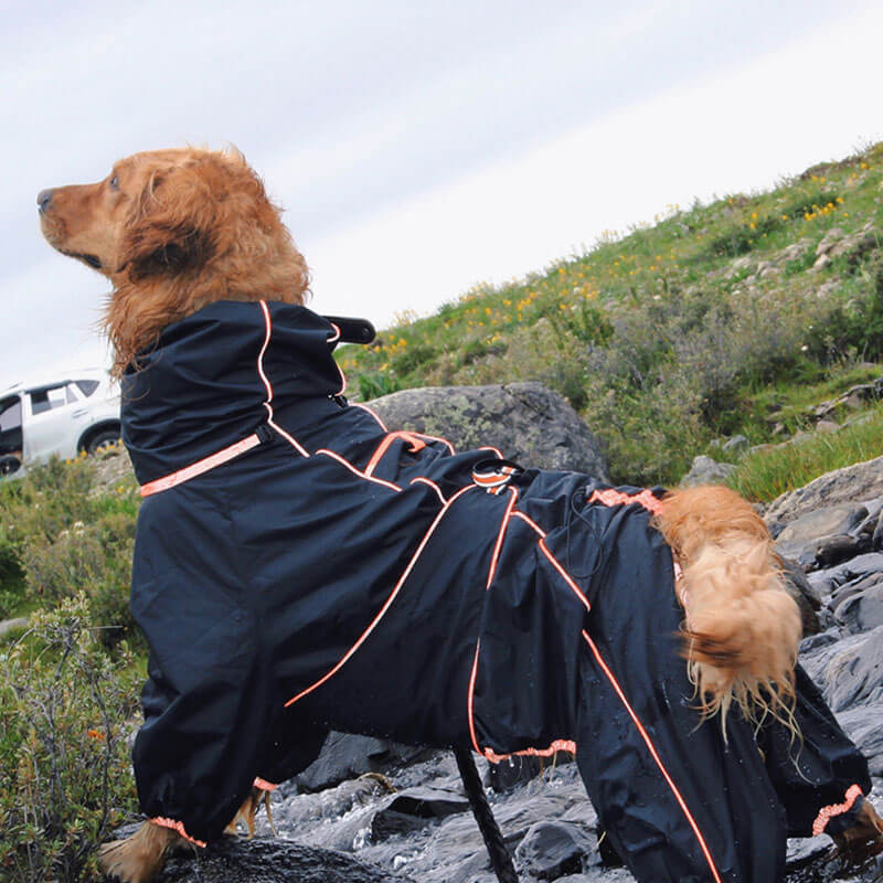 RYNX | Dog Outdoor Jacket Waterproof Adjustable Dog Rain Coat