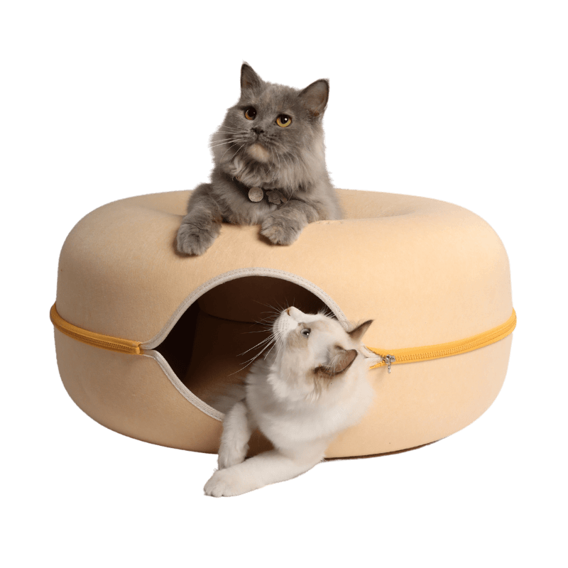 Rynx | Macarons Peekaboo Cave - Mystery Deal