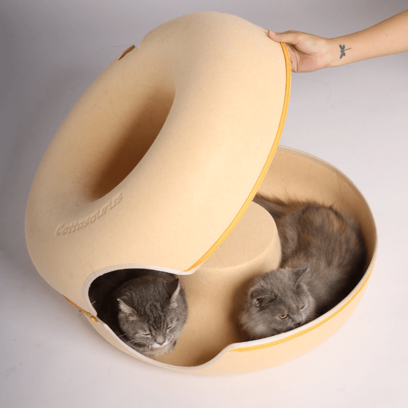 Rynx | Macarons Peekaboo Cave - Mystery Deal