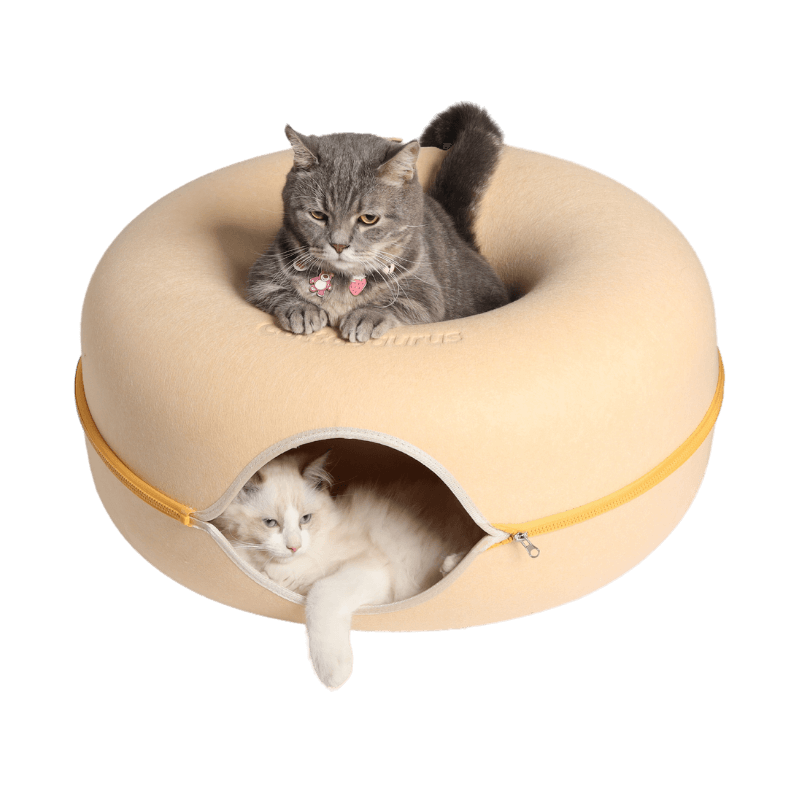 Rynx | Macarons Peekaboo Cave - Mystery Deal