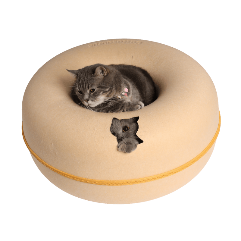 Rynx | Macarons Peekaboo Cave - Mystery Deal