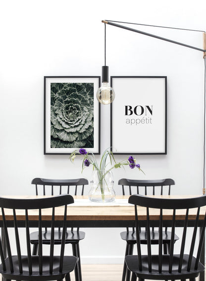 Rynx | Ornamental Cabbage, Poster