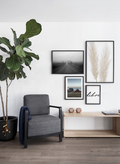 Rynx | Ornamental grasses, Poster