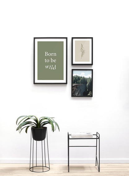 Rynx | Born To Be Wild in Green, Poster