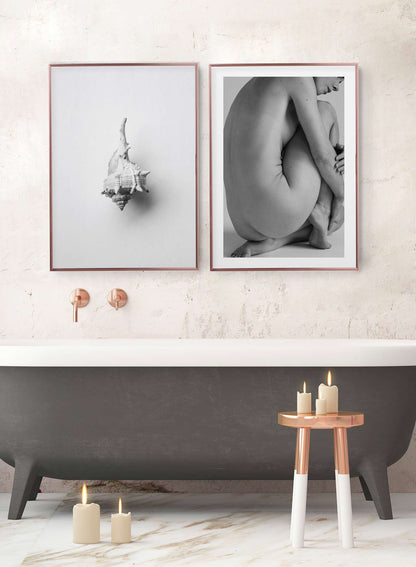 Rynx | Horse Conch, Poster