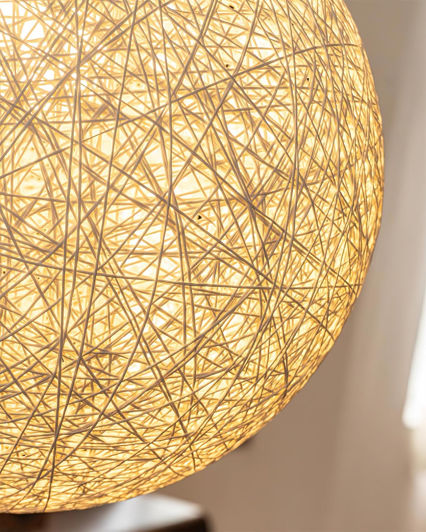 Rynx | Minka George Pendant Lamp
