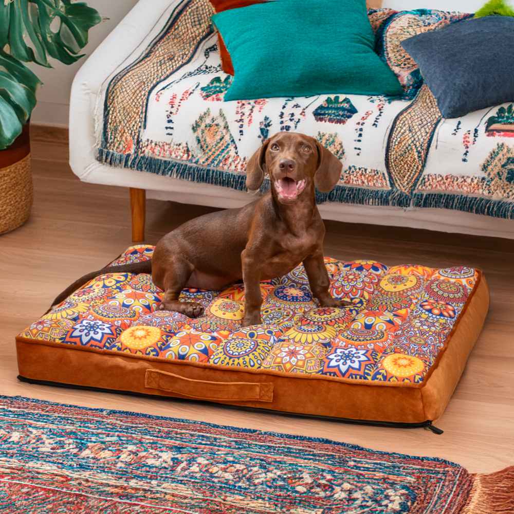 Rynx | Luxurious Moroccan Style Dog Bed - Casablanca Dream