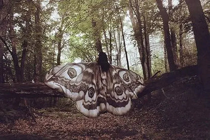 Rynx | Mystical Cloak "Grey Moth" – Elegance & Magic in a stunning Cape